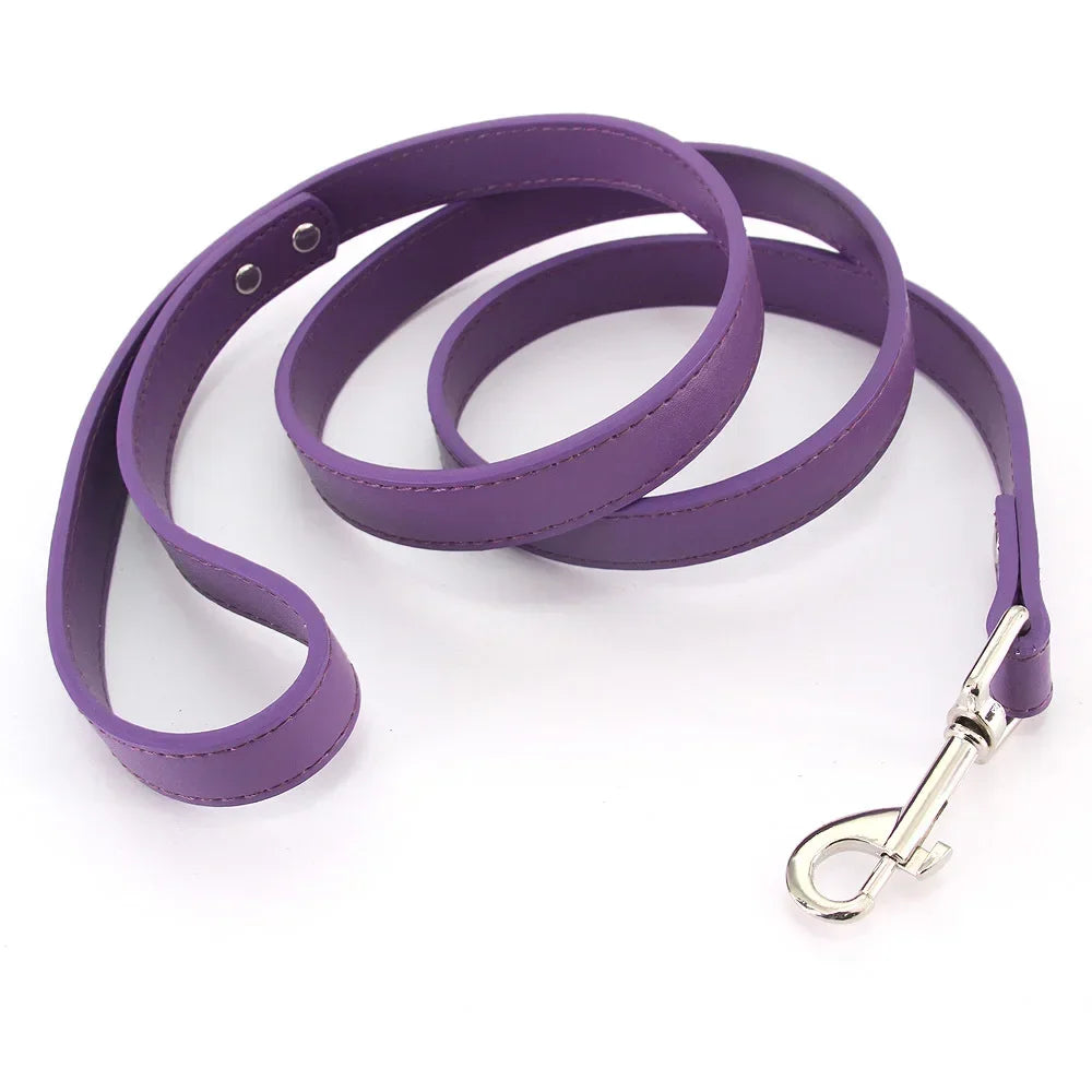 Laisse pour chiot de couleur violet style cuir. Parfait pour promener un chiot facilement. Image produit Boutiquechien