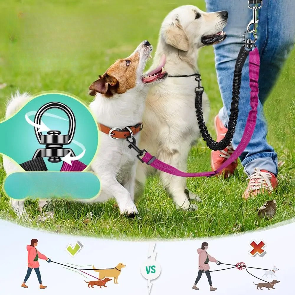 Laisse d'extension de couleur noir et rose tenant deux chiens de couleurs blanc. Image produit BOutiquechien
