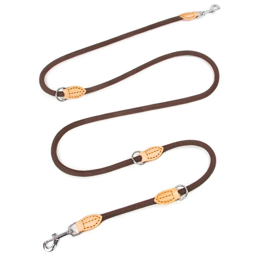 Laisse double attache pour chien marron