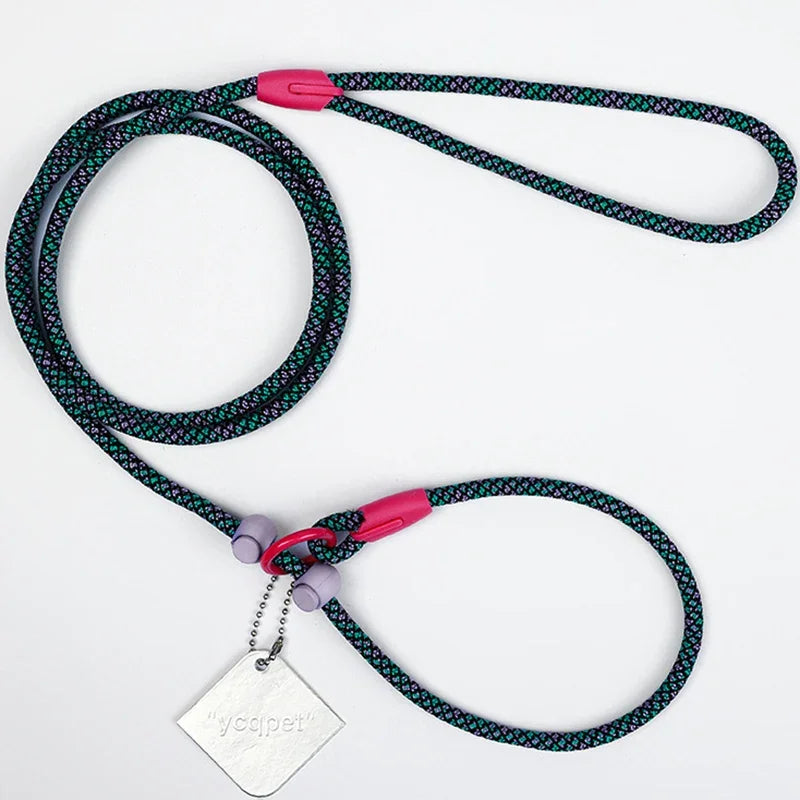 Laisse éducative pour chien noir