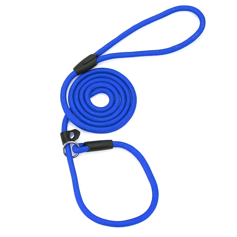 laisse lasso bleu résistant et durable en nylon bleu. Image produit Boutiquechien