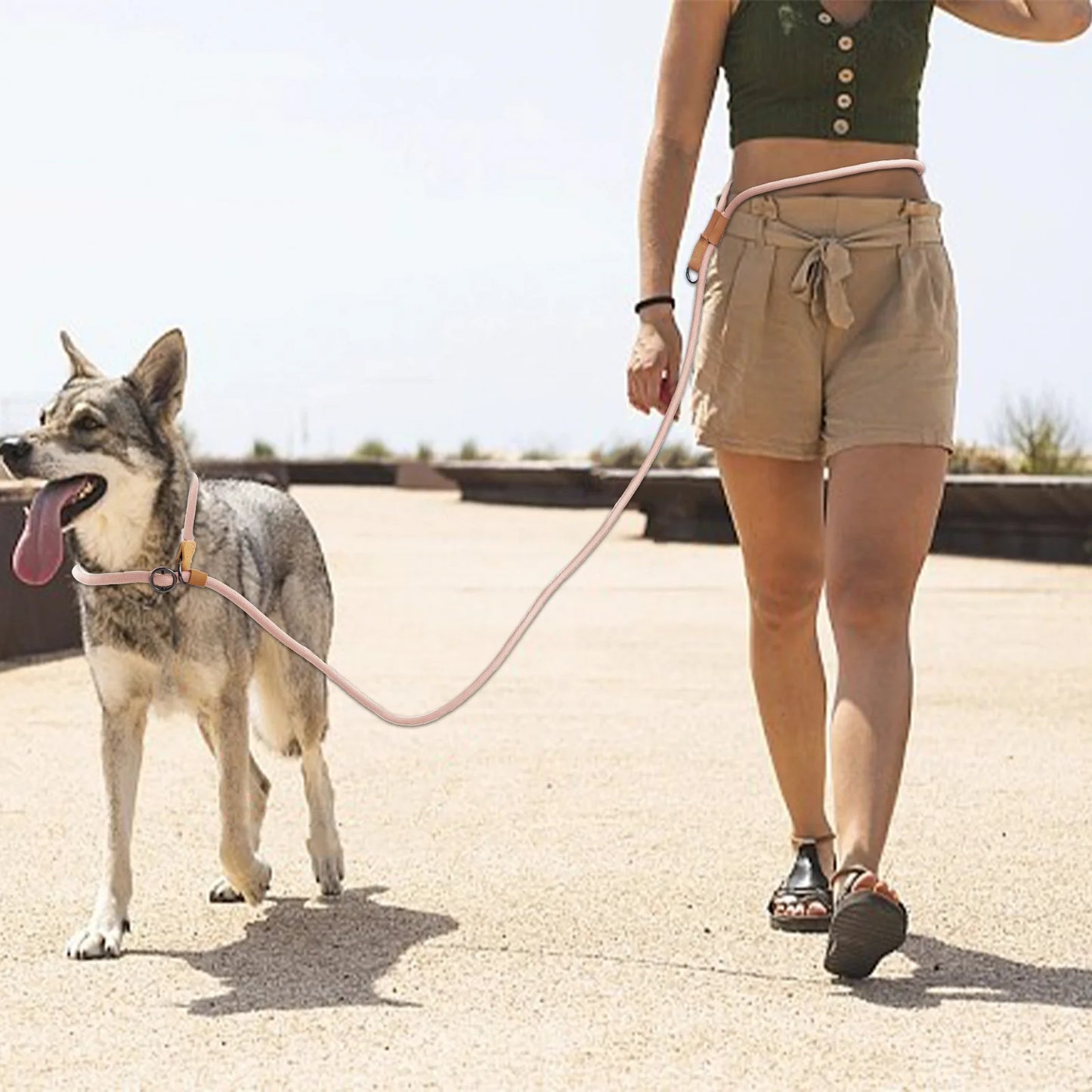 laisse lasso design pour chien de couleur rose en nylon renforcé. Le chien marche à côté de sa maîtresse. Image produit Boutiquechien