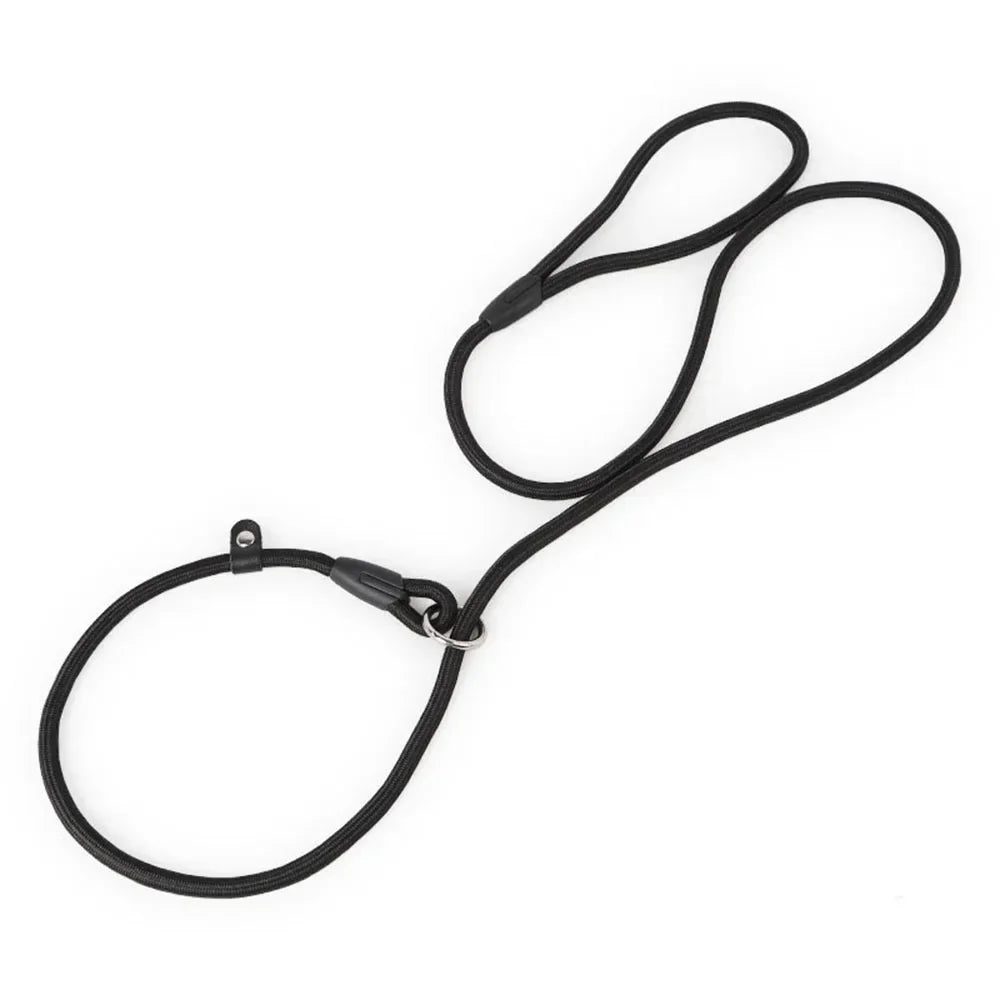 Laisse lasso fait en nylon résistant de couleur noir. Laisse parfait pour promener facilement votre chien. Image produit Boutiquechien