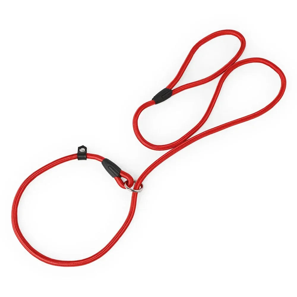 Laisse lasso fait en nylon résistant de couleur rouge. Laisse parfait pour promener facilement votre chien. Image produit Boutiquechien