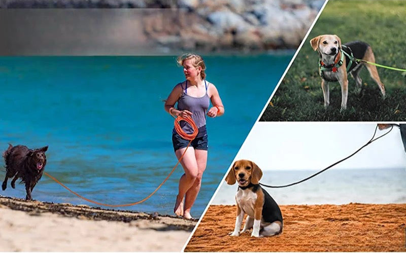 Longue laisse pour chiot waterproof parfaite pour promener les chiens dans toutes les situations. Image produit Boutiquechien
