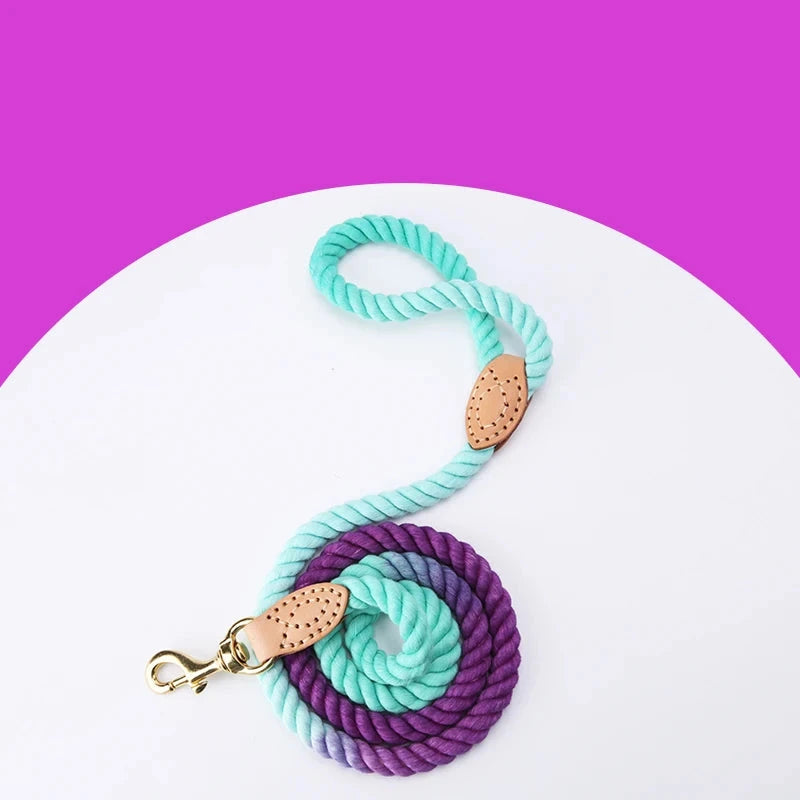 laisse corde multi couleurs pour chien  violet de boutiquechien