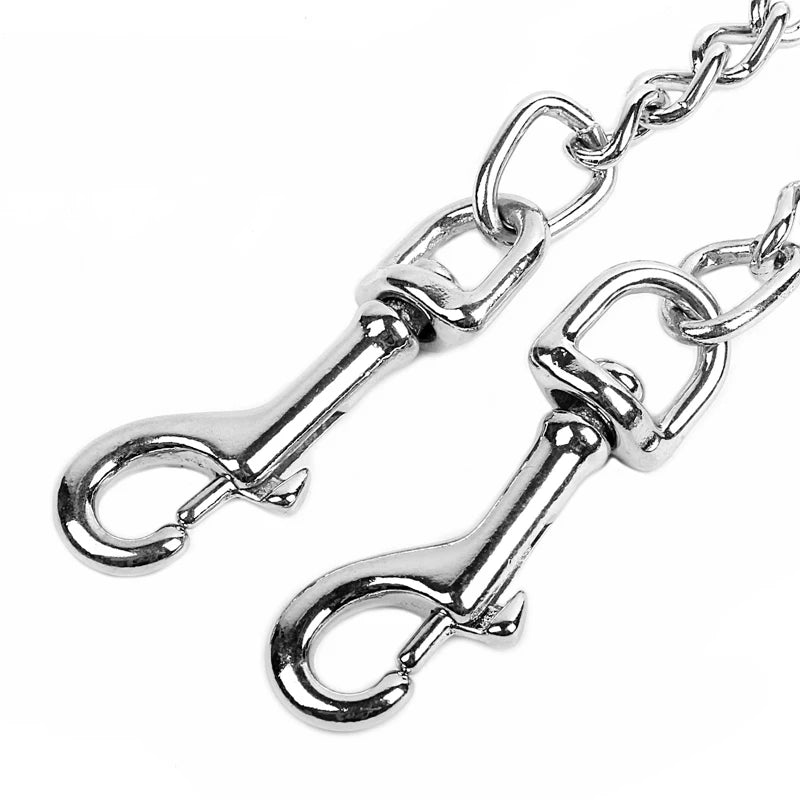 laisse double pour chiot résistant et durable en métal. Image produit Boutiquechien