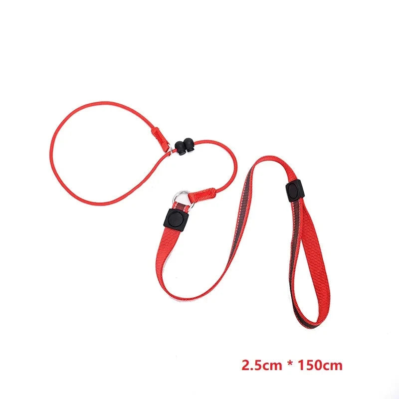 laisse pour chien étrangleur réfléchissant de 150CM. Image produit Boutiquechien