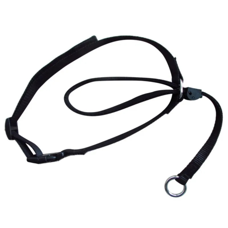 Licol noir pour grand chien