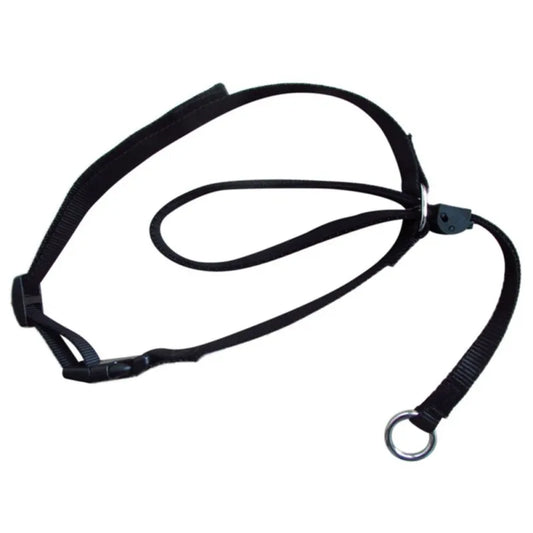 Licol noir pour grand chien