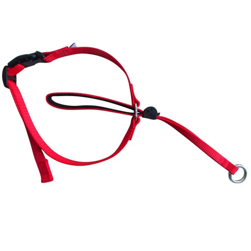 licol pour chien de couleur rouge
