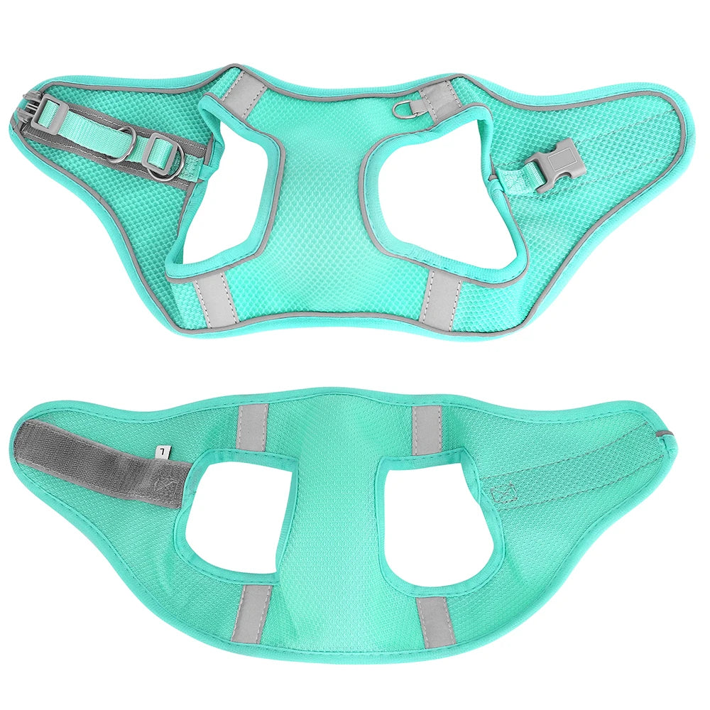 Mise en place du harnais chien de couleur turquois et réfléchissant détachable. Image produit Boutiquechien