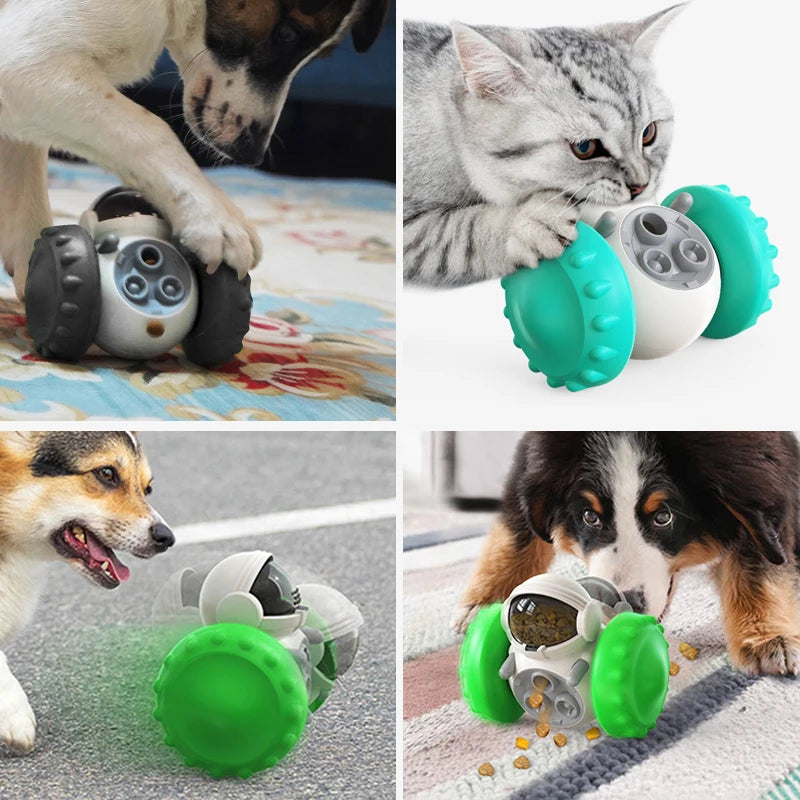 Robot utilisé dans plusieurs situation pour les chiens et chat. Image produit Boutiquechien