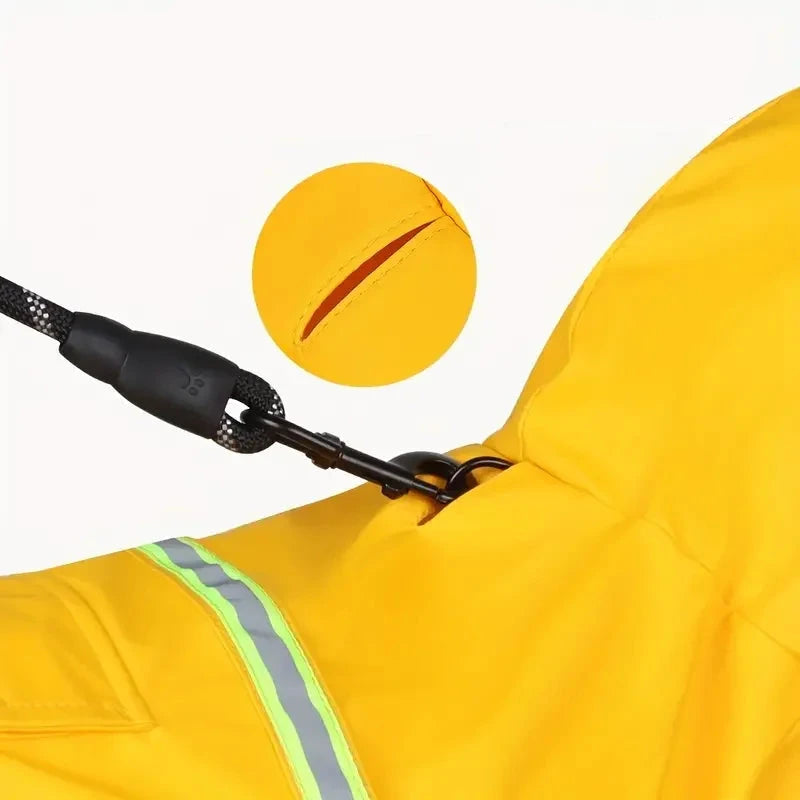 Ouverture pour l'attache du collier pour chien de couleur jaune avec une ouverture de collier. Le chien est maintenu par une laisse de couleur noir. Image produit Boutiquechien