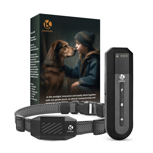 l'image représente le pack que reçoit l'acheteur lors de son achat chez boutiquechien. La personne reçoit le collier avec une télécommande noir. Image produit Boutiquechien