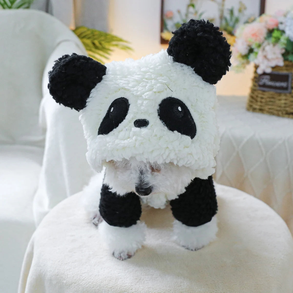 déguisement en forme de panda de couleur blanc et noir posé sur une table blanche. Image produit Boutiquechien