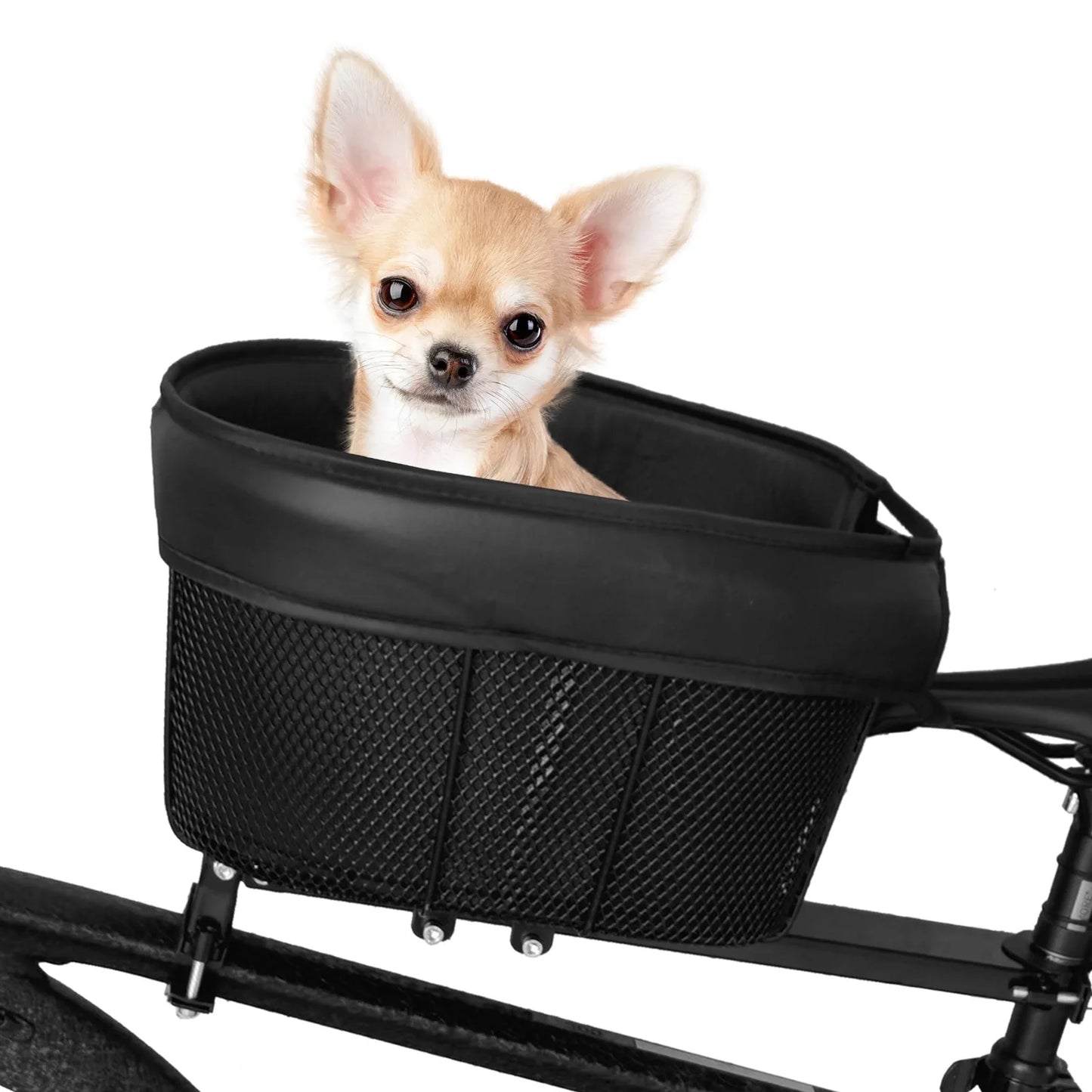 panier à vélo pour chien de couleur noir. Le panier chien est dépose sur une barre accroché au cadre du vélo et à la selle du vélo. Un chihuahua blanc et assis dans le panier chien vélo. Image produit Boutiquechien
