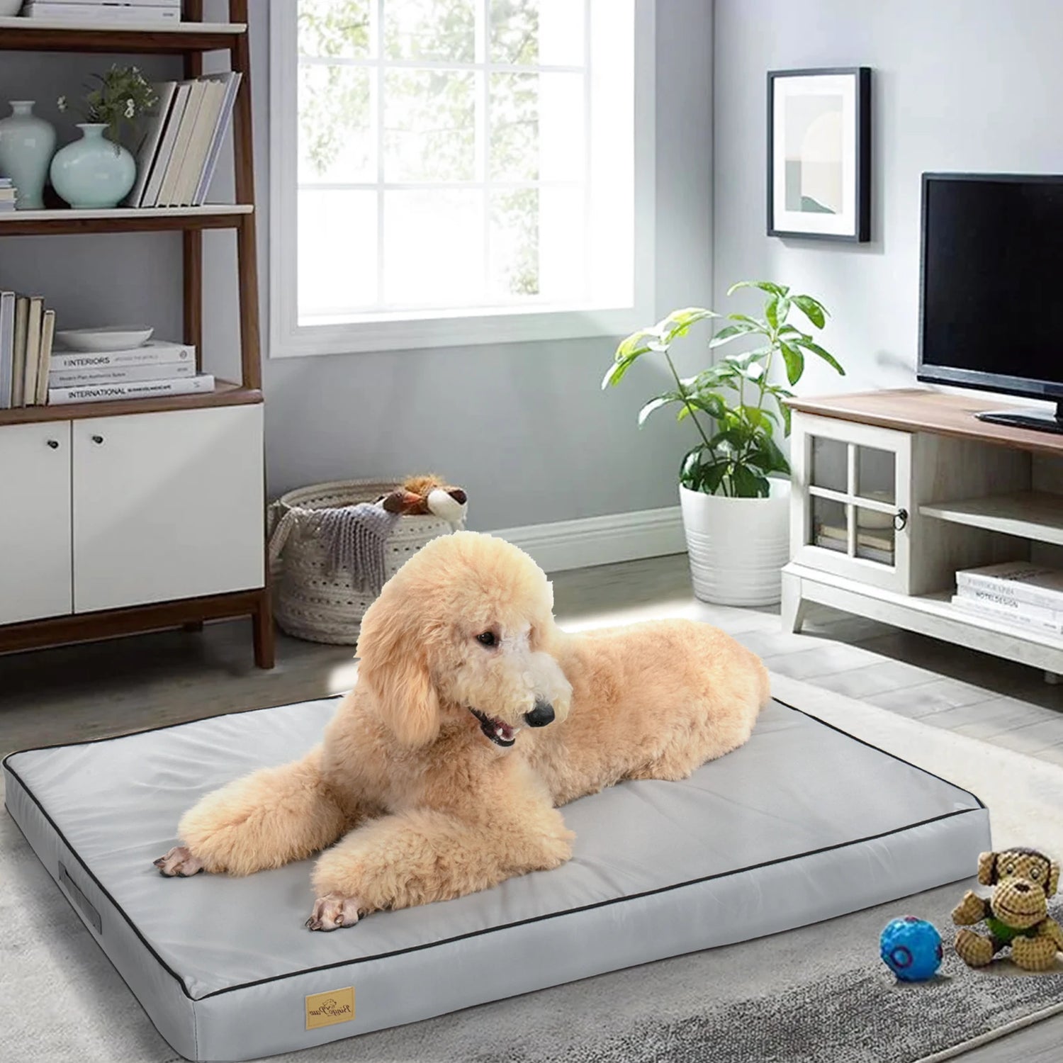 Grand chien blanc couché sur un grand panier blanc. Le panier est planté dans un salon design avec plein de jouets pour chien. Image produit Boutiquechien