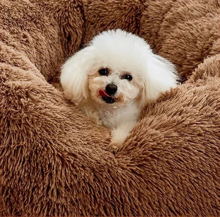 Panier chien xl fluffy avec un petit chien blanc couché dans le panier. Le panier chien xl flullfy est de couleur brun. Image produit Boutiquechien