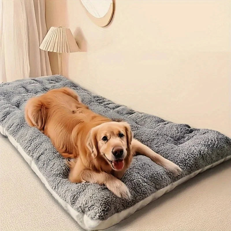 Panier pour chien xxl déhoussable avec un grand chien beige couché sur le panier