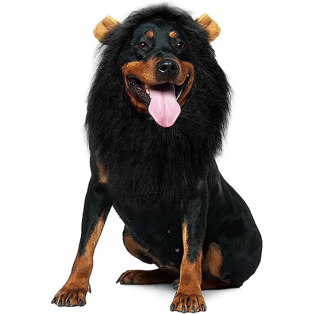 Grand chien de couleur noir portant une perruque en forme de crinière de lion noir pour chiens. le chien est couché en portant cette perruque de boutiquechien