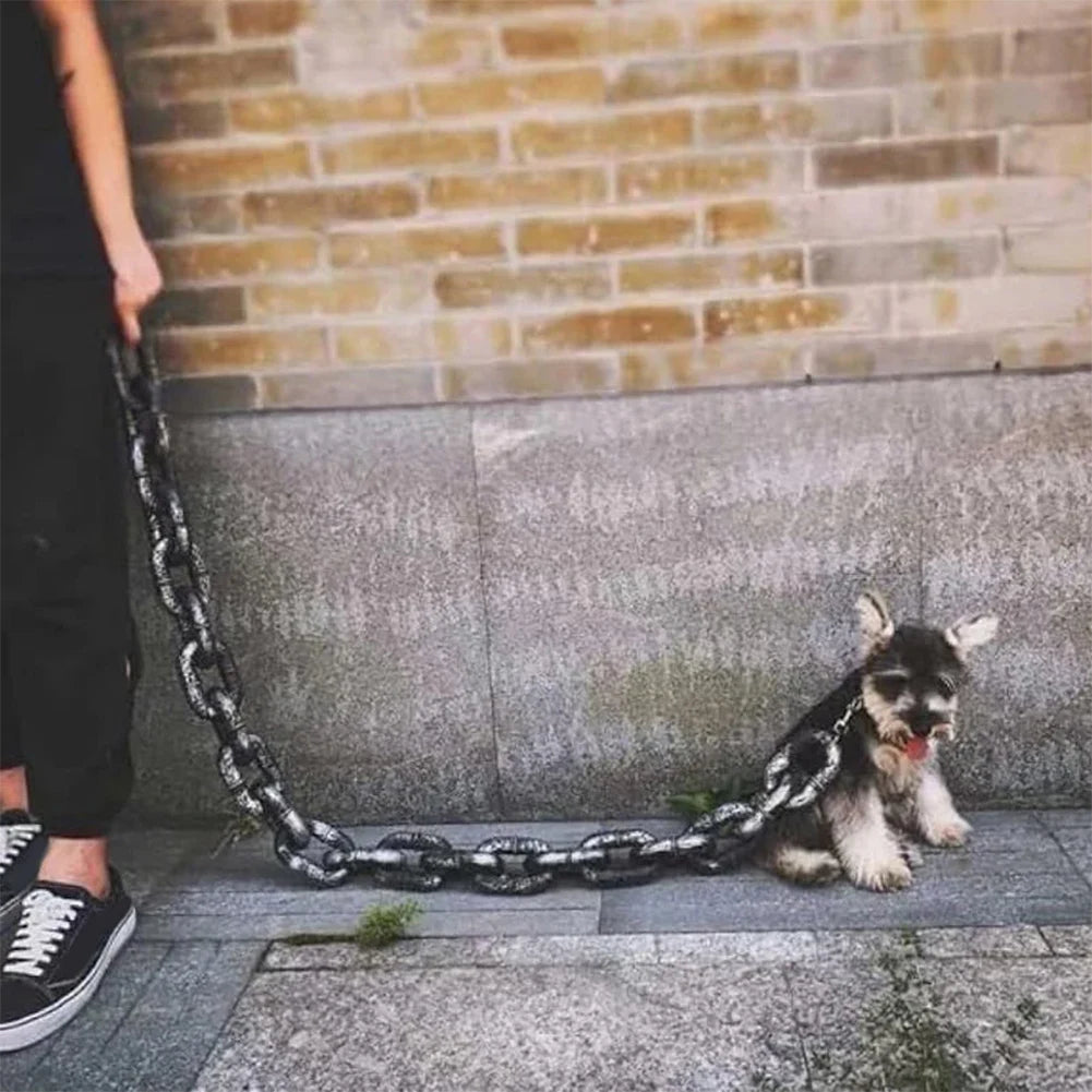 laisse style chaine pour petit et grand chien. Le petit chien porte et un petit harnais et il est de couleur noir et blanc. Le chine à une grande et grosse laisse de couleur or. Image produit Boutiquechien