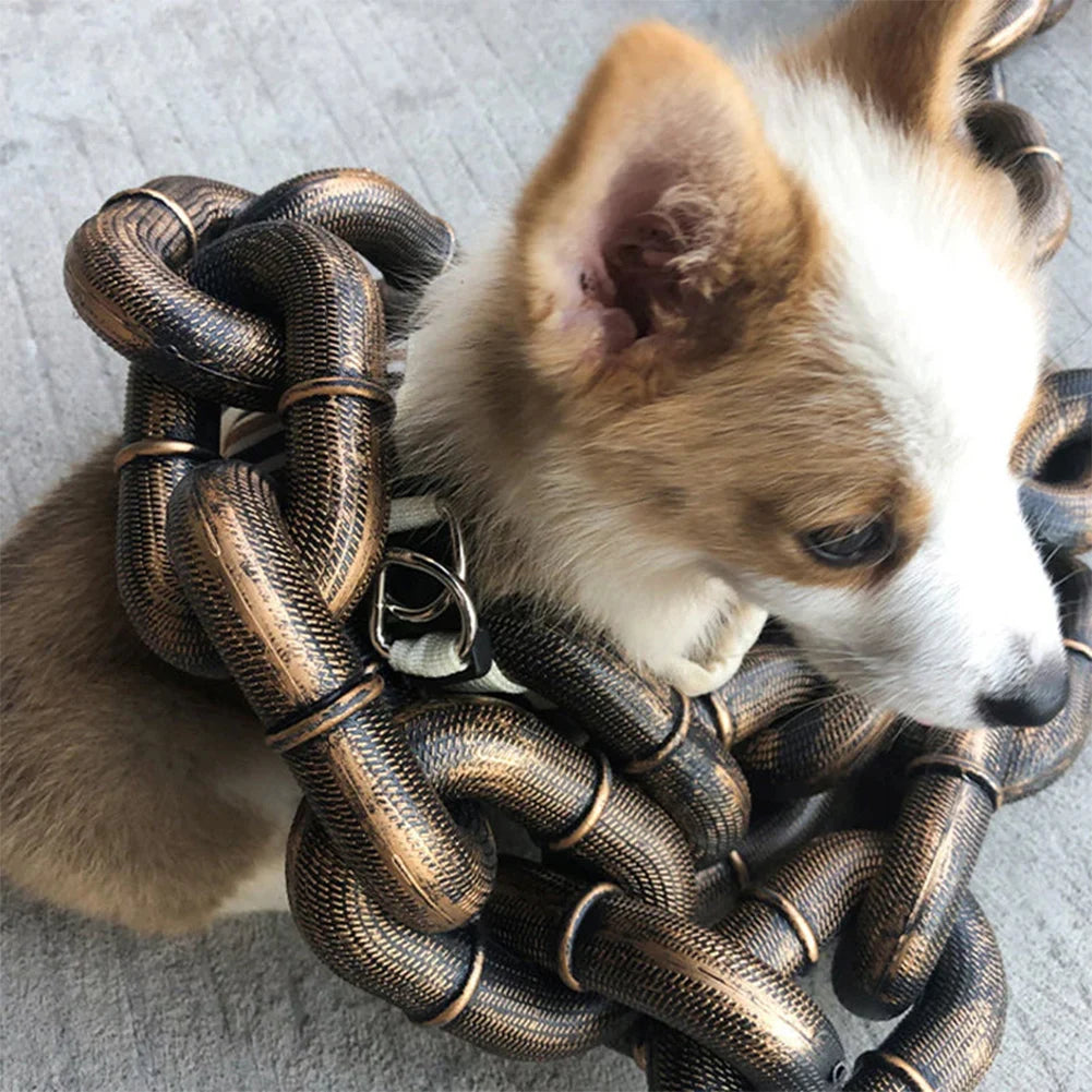 laisse style chaine pour petit et grand chien. Le petit chien porte et un petit harnais et il est de couleur brun et blanc. Le chine à une grande et grosse laisse de couleur or. Image produit Boutiquechien