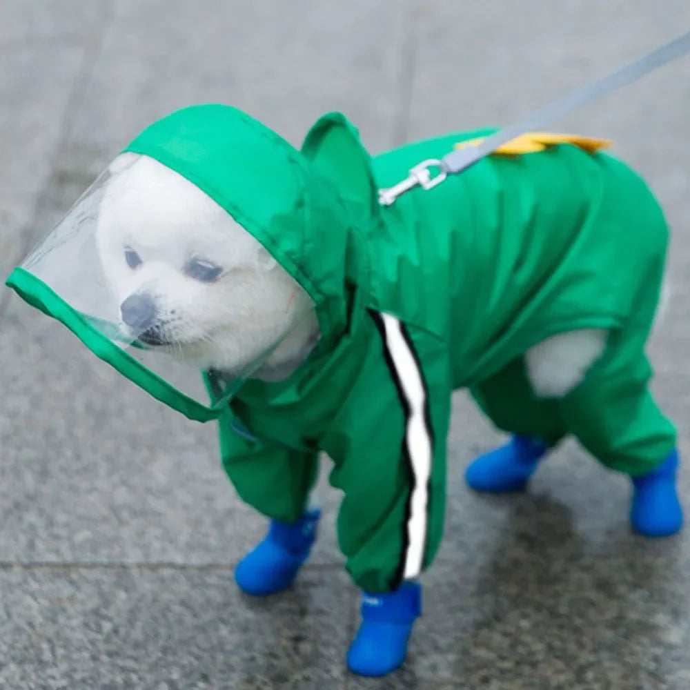 Petit chien de couleur blanc avec un imper de couleur vert en forme de dinosaure. Image produit Boutiquechien