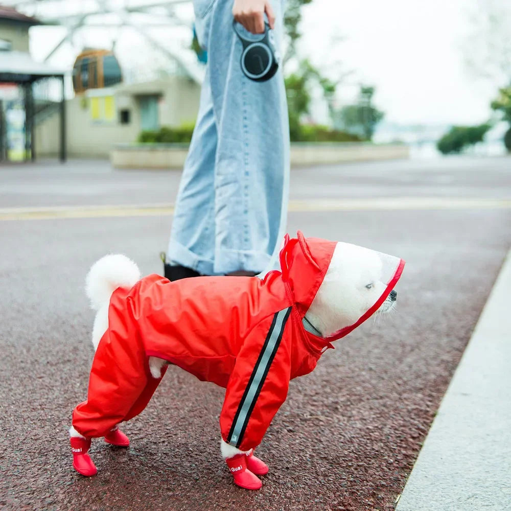 Petit chien blanc avec un imper rouge pour chien dans la rue. Image produit Boutiquechien