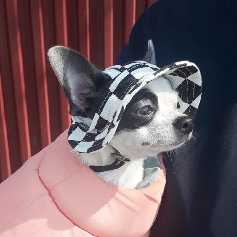 Petit chien de couleur noir et blanc portant un bob pour chien de couleur noir et blanc.Le chien porte aussi un imper pour chien de couleur rose. Image produit Boutiquechien
