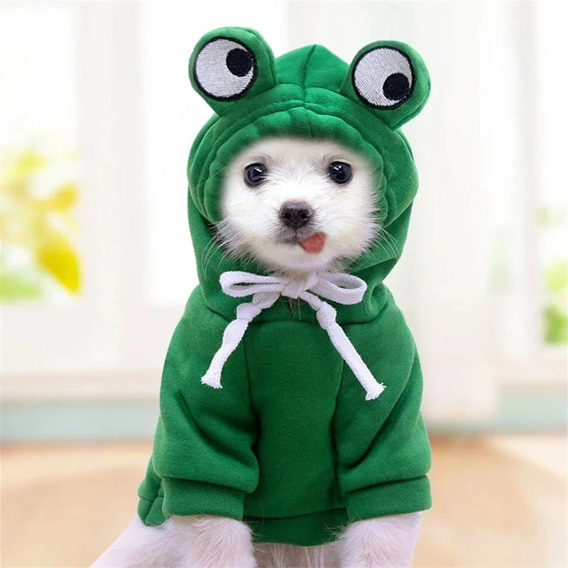 Petit chien de couleur blanc portant un déguisement vert en forme de grenouille verte de boutiquechien