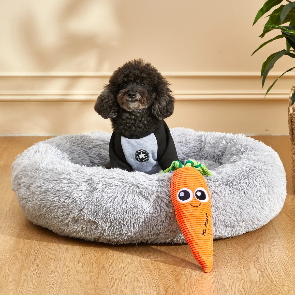 Petit chien de couleur noir dans un panier chien fluffy de couleur gris. La carotte est posé contre le panier avec à côté une plante verte. Image produit Boutiquechien