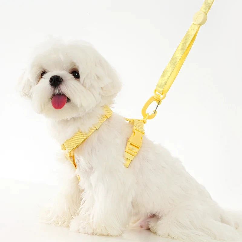 Harnais pour chien de couleur jaune avec un petit chien de couleur blanc. image produit Boutiquechien