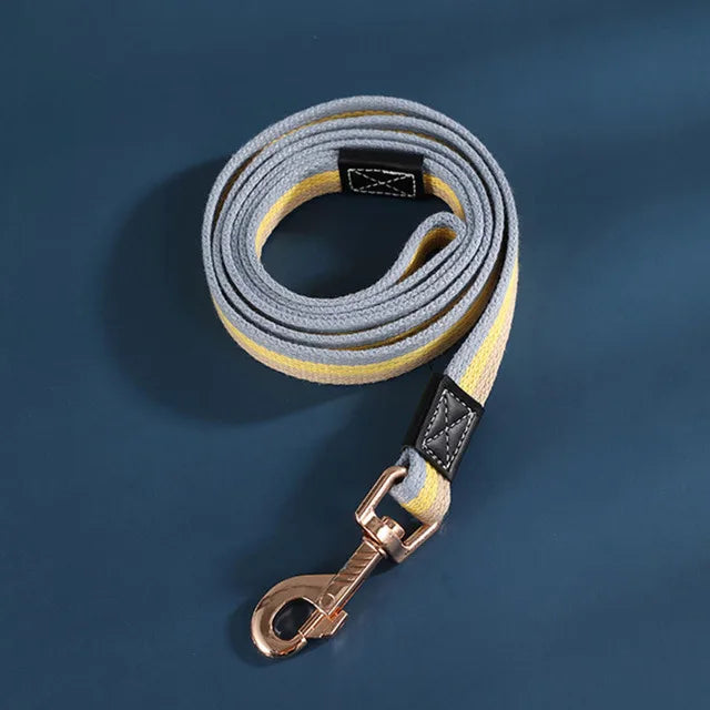 laisse pour chiot de couleurs jaune fait en nylon. Image produit Boutiquechien