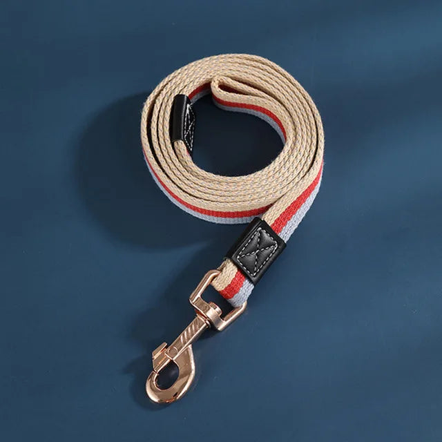 laisse pour chiot de couleurs rouge fait en nylon. Image produit Boutiquechien