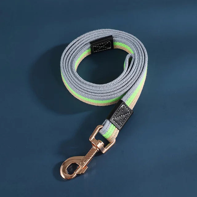 laisse pour chiot de couleurs verte fait en nylon. Image produit Boutiquechien