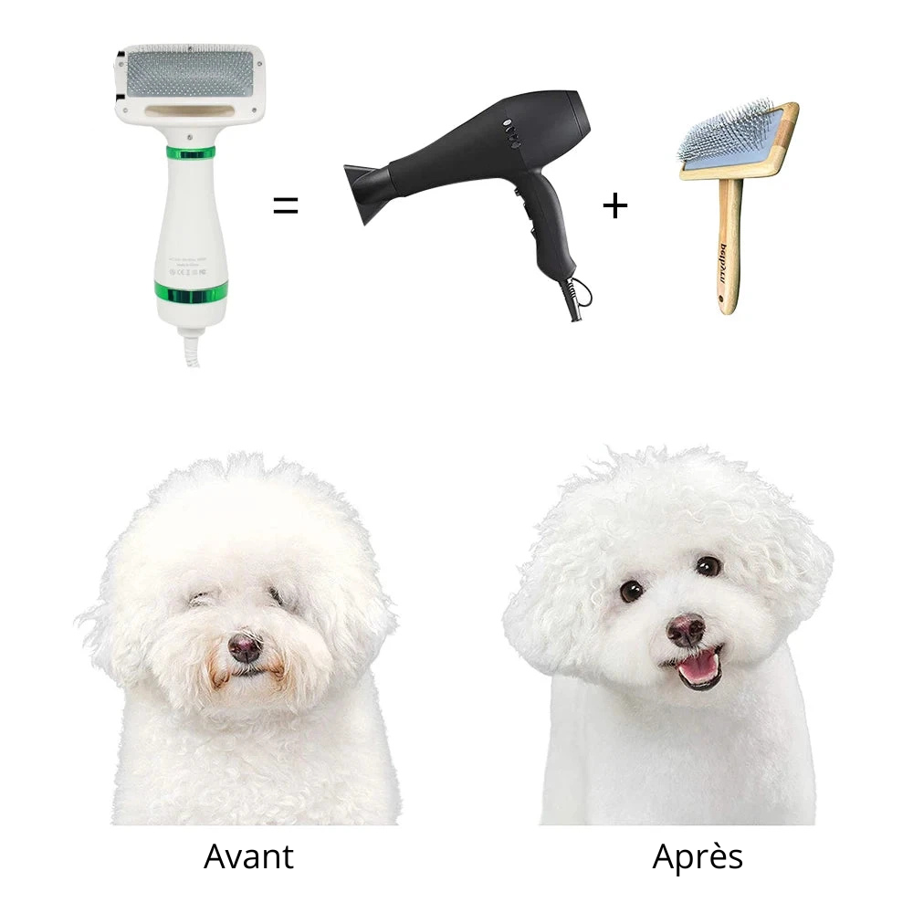 pulseur chien de couleur blanc et vert. Il y a un avant après utilisant du produit avec en haut un expemple pour l'inspiration de ce produit. Image produit Boutiquechien