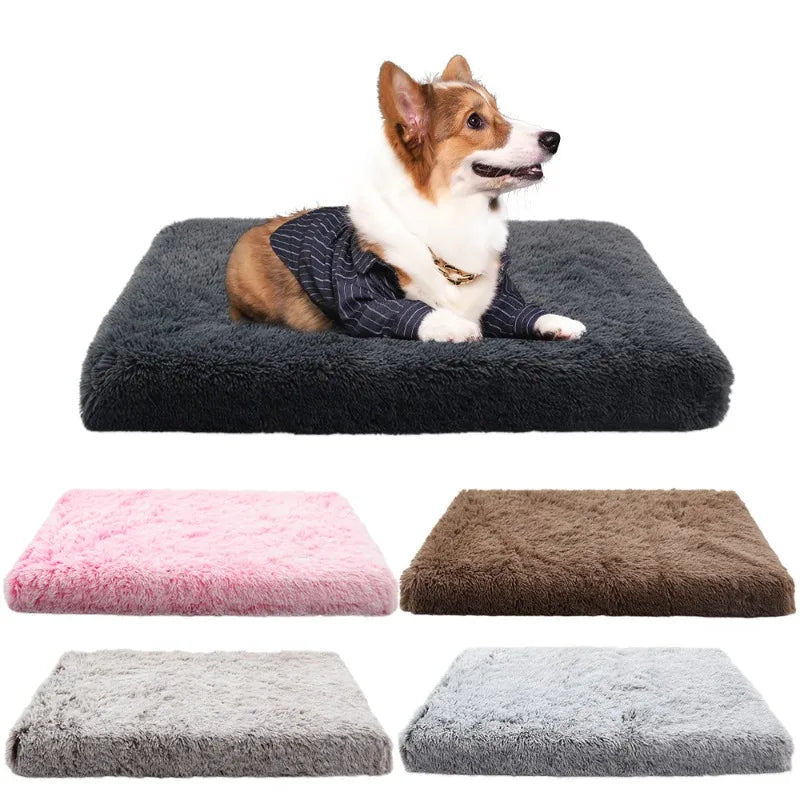 tapis moelleux pour toutou