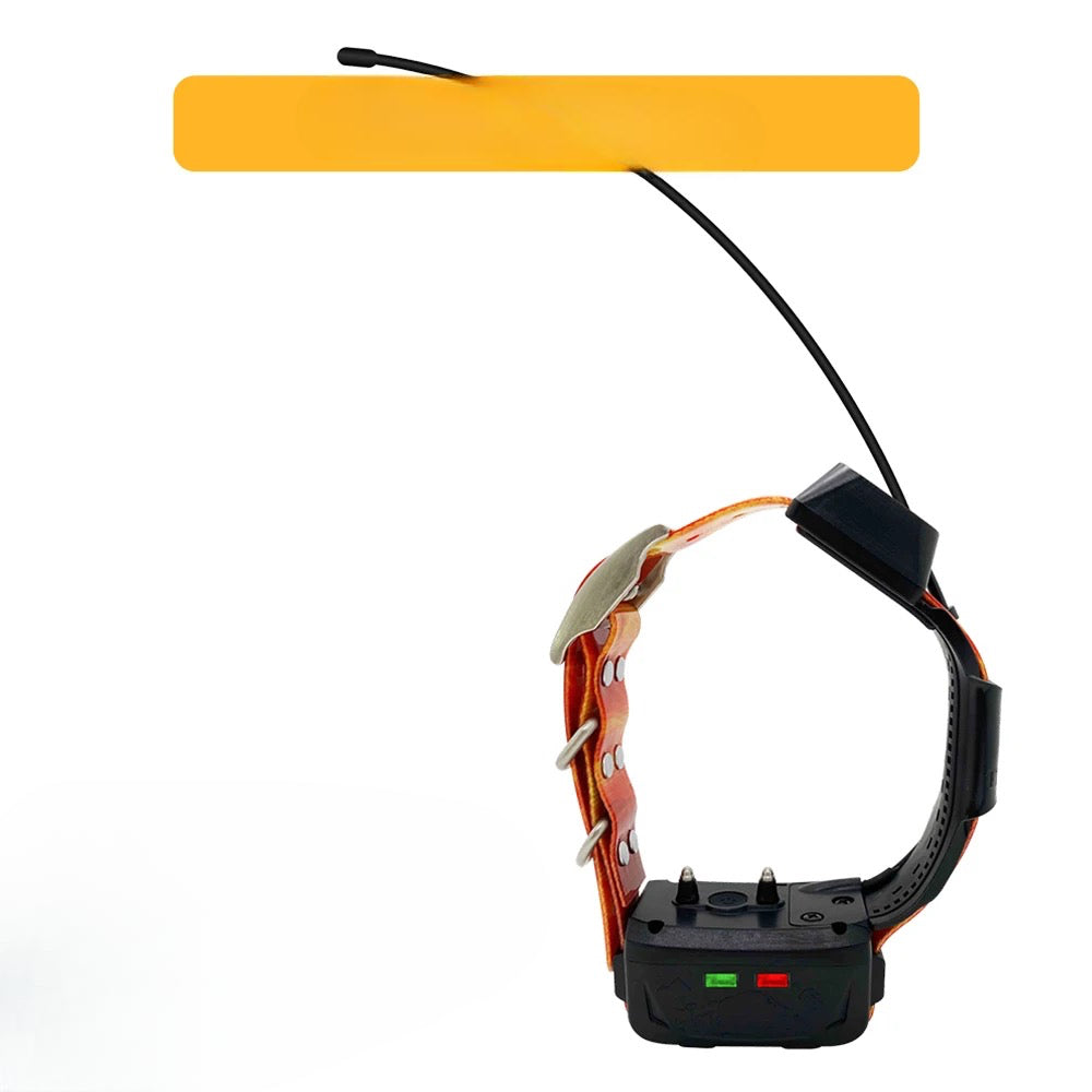 collier pour chien gps