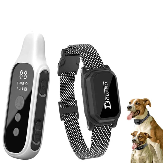 Collier de dressage pour chien
