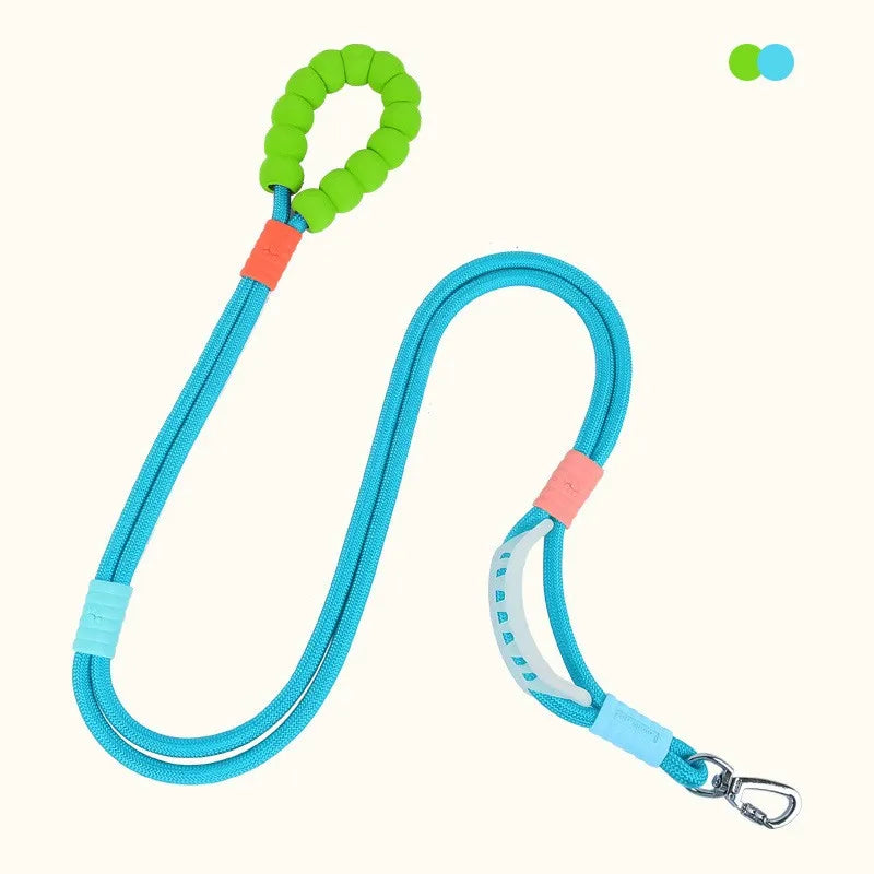 laisse pour chien rembourré bleu et vert
