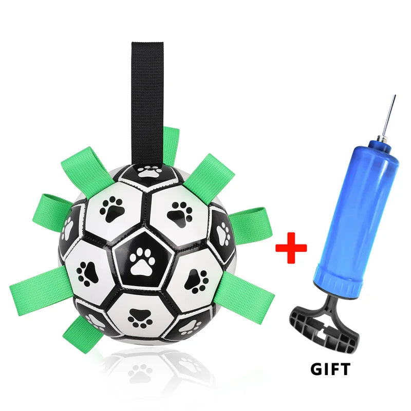 balón d'entraînement pour chien