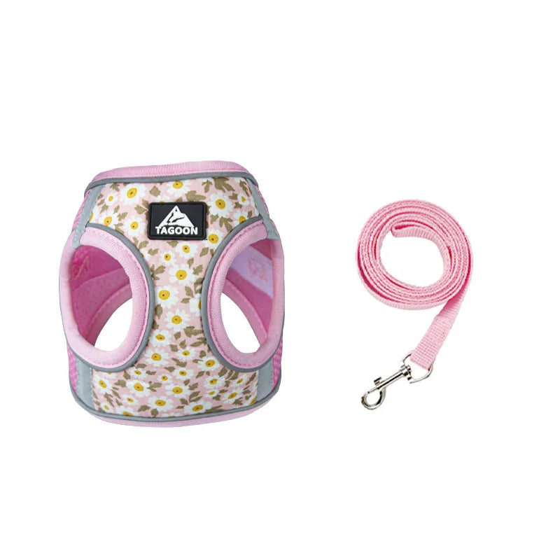 Harnais avec pâquerette pour petit chien
