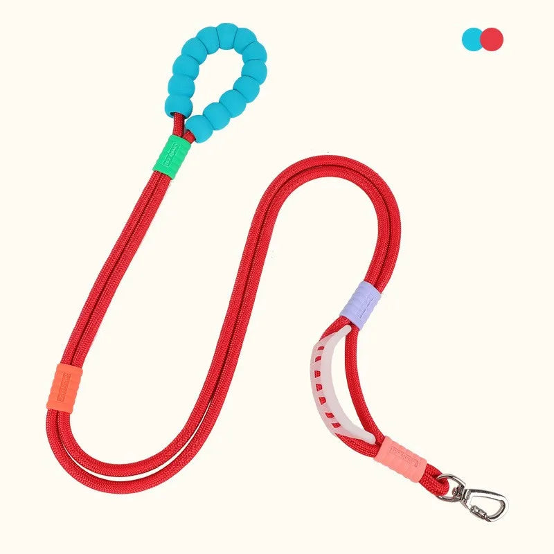 laisse pour chien rembourré pour chien