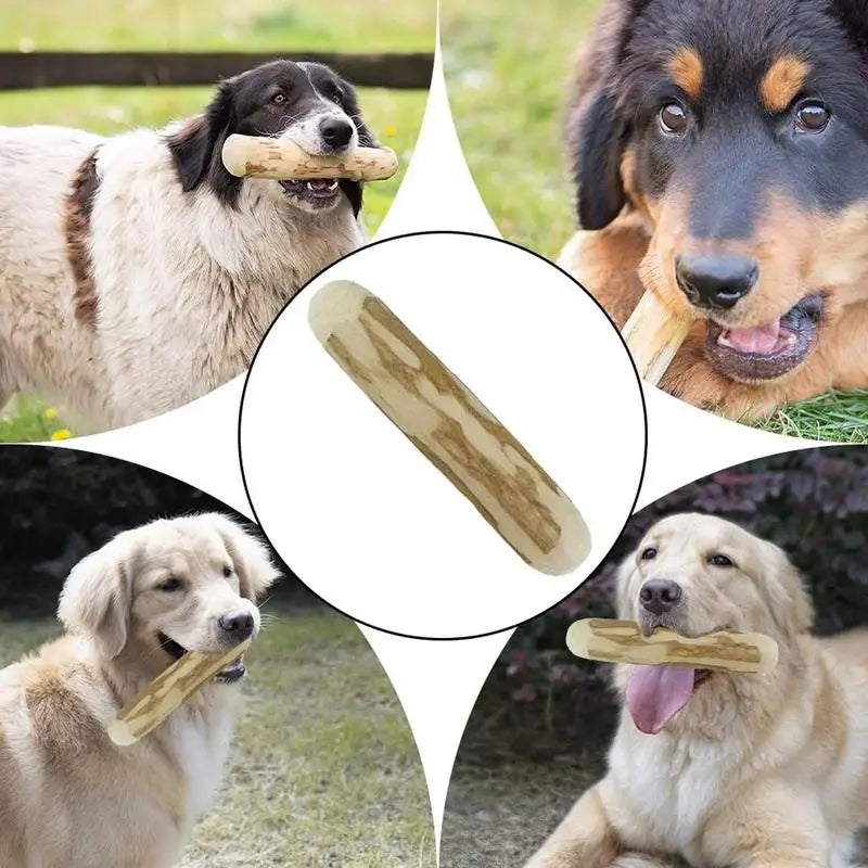 bâton résistant pour chiot
