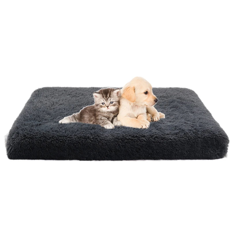 tapis doux pour chiot