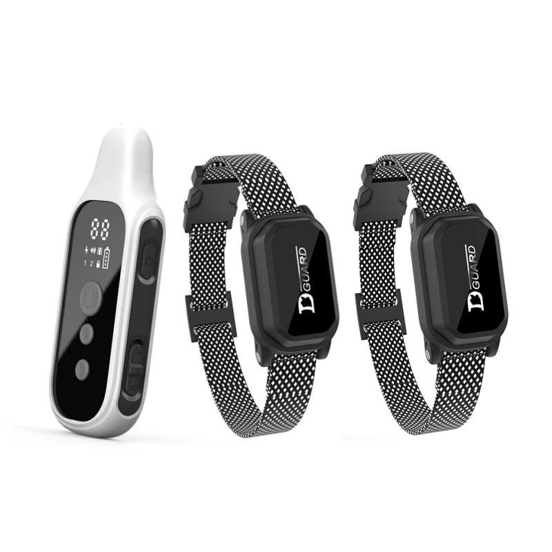 collier de dressage pour chien