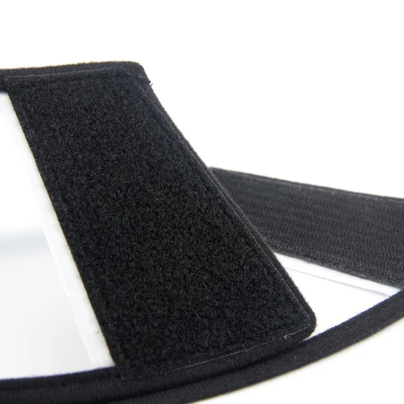 Scratch de couleur noir sur une collerette transparente. Image produit Boutiquechien