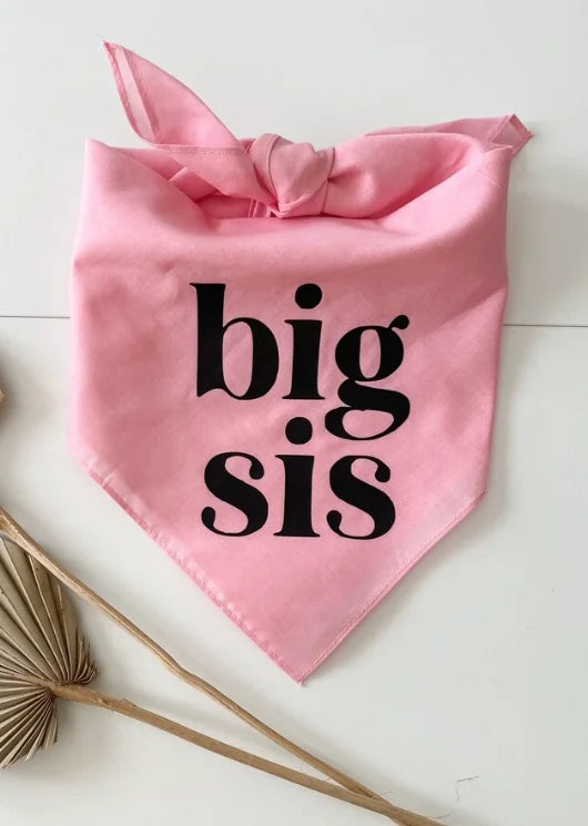 Bandana "Big Bro" pour chien