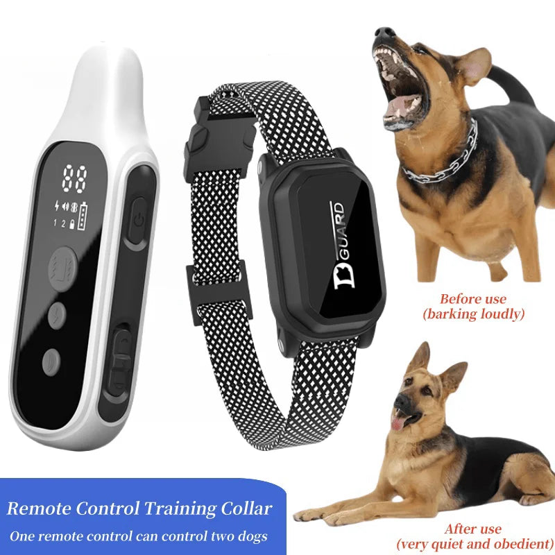 collier d'apprentissage pour chien